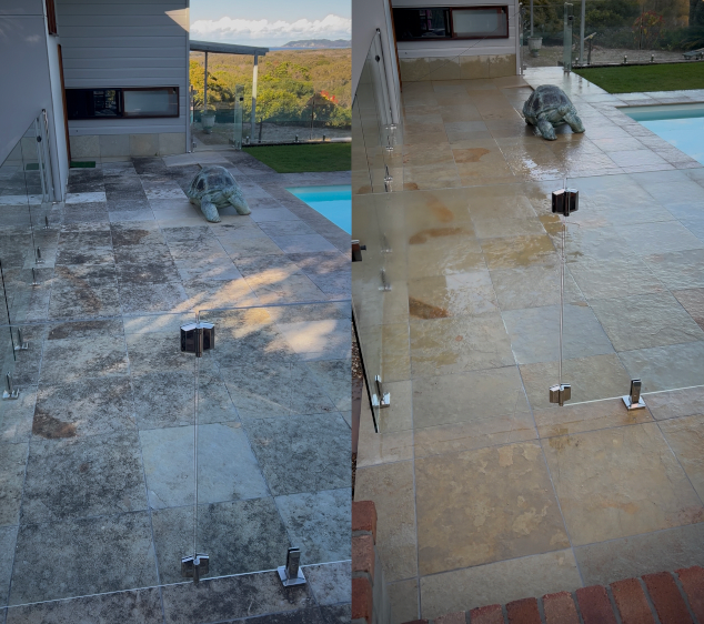 Surrounding Pool Area Cleaning
